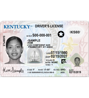  Kentucky Driver's License, Novelty