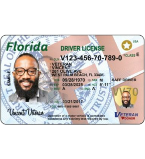 Florida Driver's License, New (Enhanced)