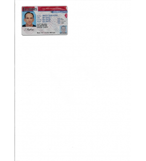 Driver's License, Scanned