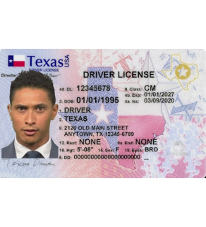 Texas Driver's License, Enhanced (Novelty)