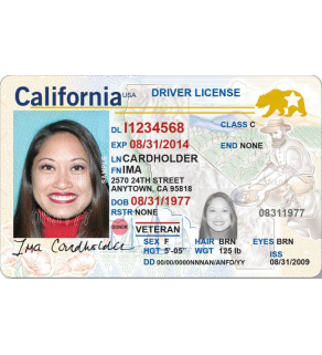 California Driver's License, Enhanced (Novelty)