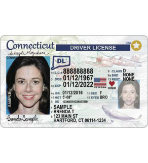 Connecticut Driver's License, Novelty