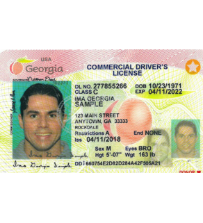 Georgia Driver's License, Novelty
