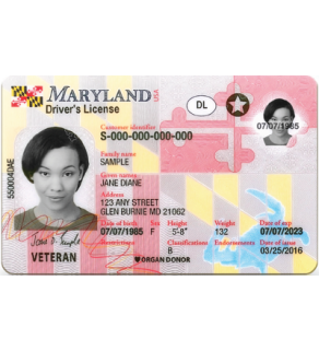 Maryland Driver's License, Novelty
