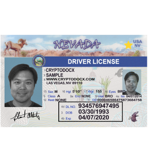 Nevada Driver's License, Novelty(Enhanced)