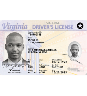 Virginia Driver's License, Novelty