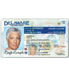 Delaware Driver's License, Novelty (Enhanced)