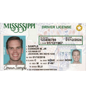 Mississippi Driver's License, Novelty