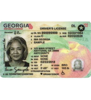 Georgia Driver's License, Novelty