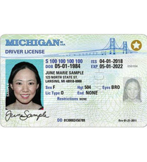 Michigan Driver's License, Novelty