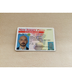 Driver's License, Front Snapshot Only