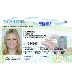 Maine Driver's License, Novelty