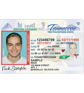 Tennessee Driver's License, Novelty