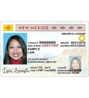 New Mexico Driver's License, Novelty
