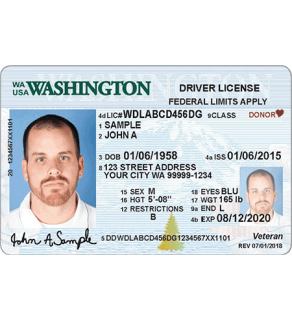 Washington Driver's License, Novelty
