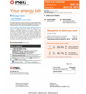 Electric Bill, PSE&G