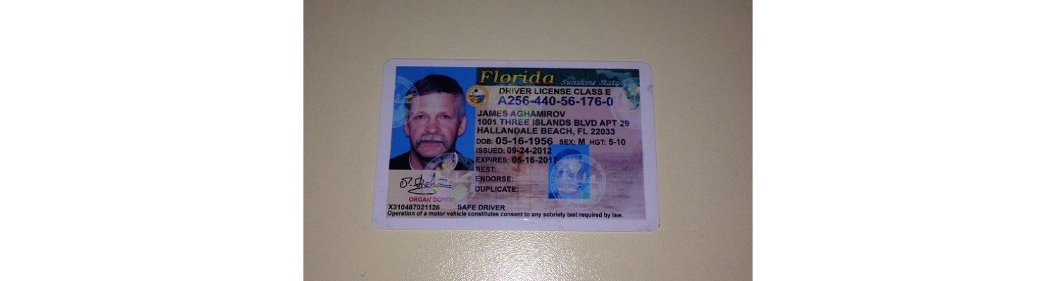 Florida license